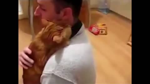 Monkey Reunited With Owners after Years!