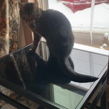 Hey. What’s all this white stuff dad!?