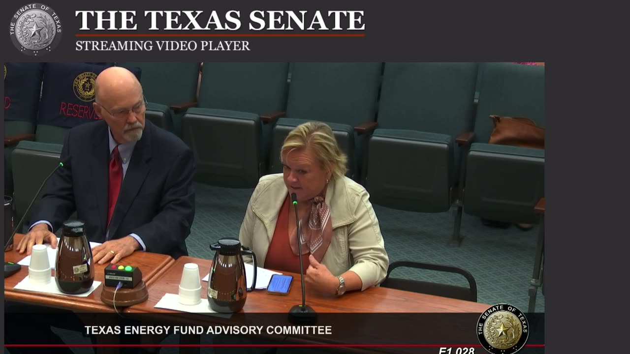 Texas Energy Fund Advisory Committee Public Comment 10-8-2024 2