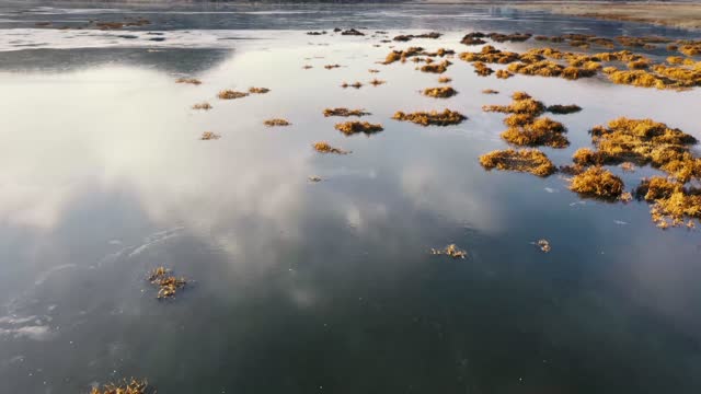 Summer Algal Bloom and Aquatic Grass Growth Forces Boats Off the Water in Berkeley's Aquatic Park