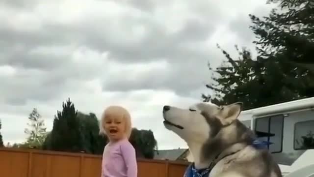 dog singing with baby