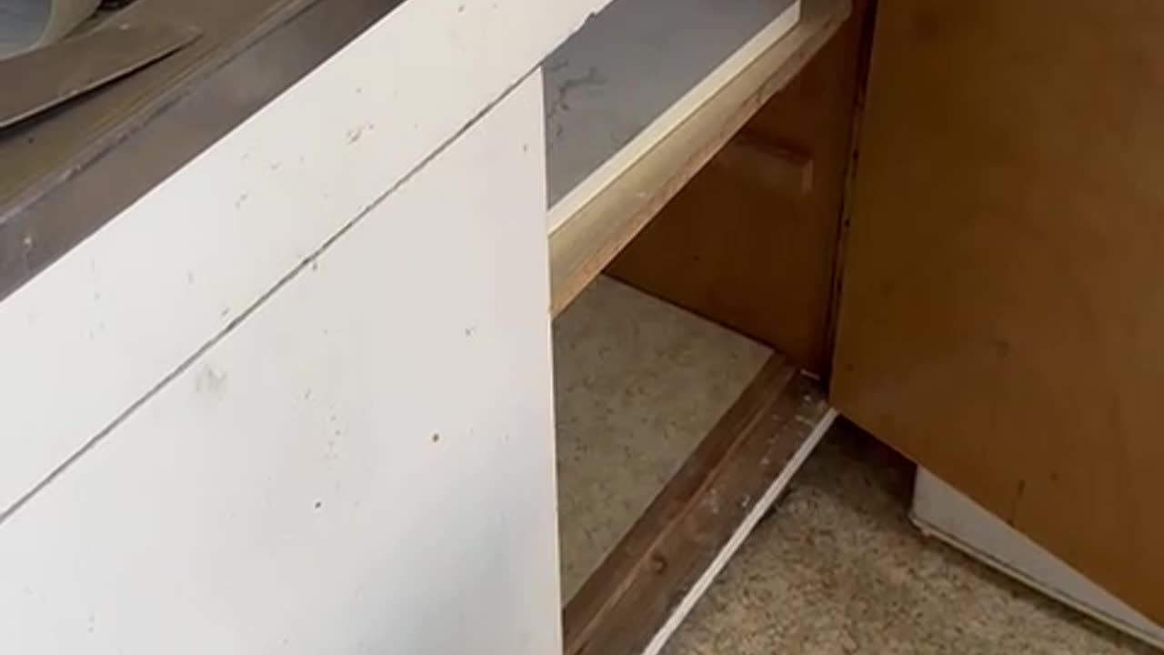 Baby hidden