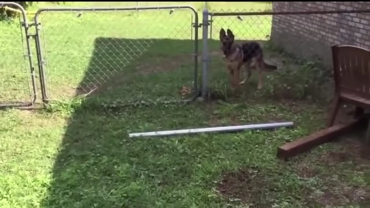 Getting Shocked with Funny Sound