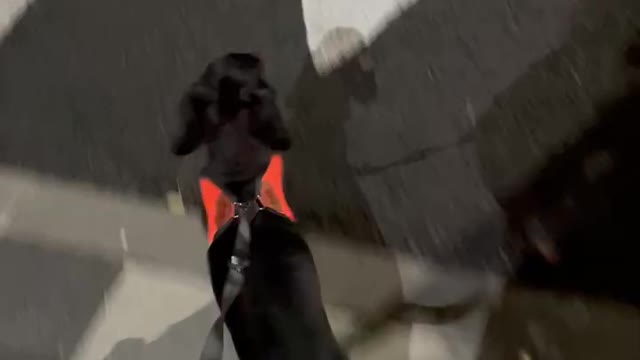 Dachshund too fast