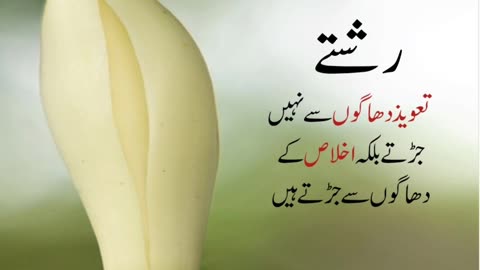 Urdu quotes