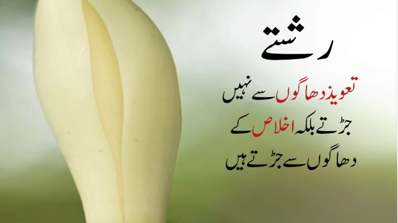 Urdu quotes