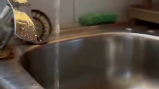 bird falling off so cute🤩😍