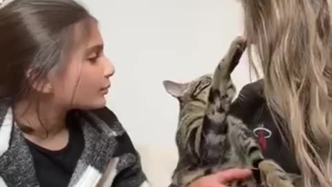 funny pet