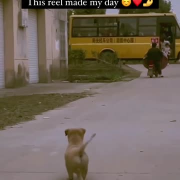 Real happiness with my little puppy 😍