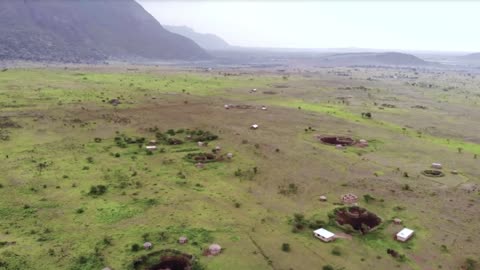 african wildlife in 4k