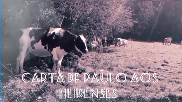 Carta de Paulo aos Filipenses