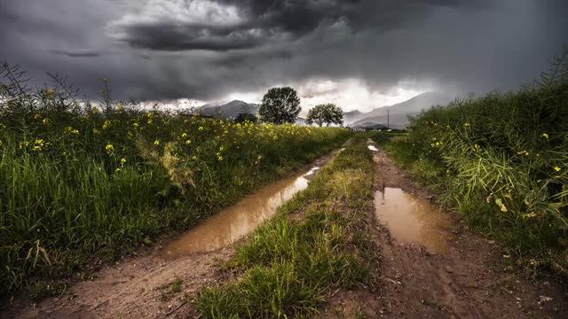 NATURE SOUNDS Relaxing Nature Sound Of Thunder & Rain (No Music)