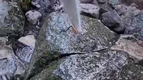 News Break: water coming out of a rock.