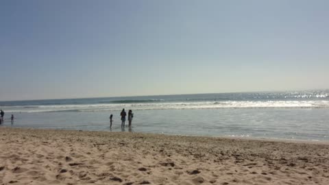 The Captain's View. Huntington Beach - Dog Beach, California. 10/12/24