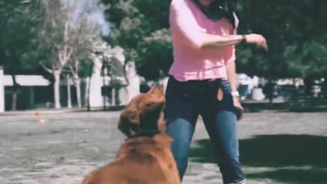 Dog and girl' fitting funny video# popular #short dog and girl Love