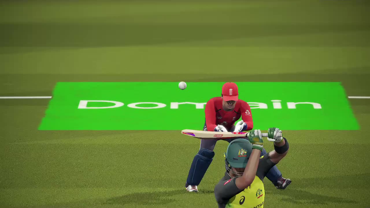 Cricket 19