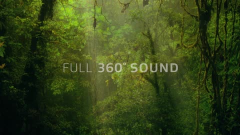 Dolby Atmos Sound ( Headphone recommended)