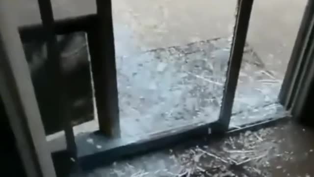 Best funny video of 2022