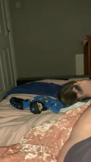 MJCS 103) Toe Biter Kitty