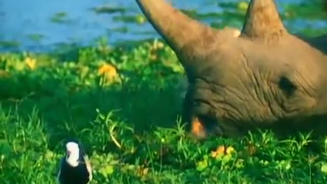 Talk Talk - It's My Life