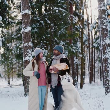 Dogs And Cats Play In Snow - Funny Pets Reaction | Pets Town