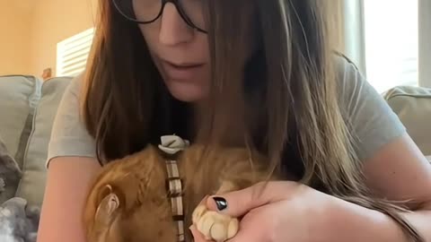 😂Holding Back My Cat Moments🐱