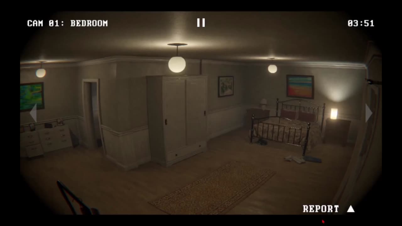 caught on camera: plain house