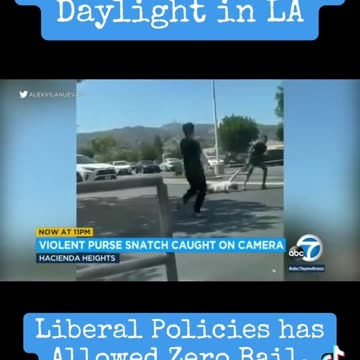 Woman robbed by Thugs in broad daylight in LA