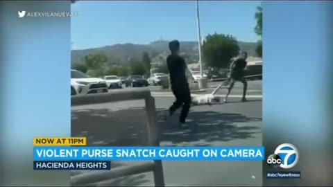 Woman robbed by Thugs in broad daylight in LA