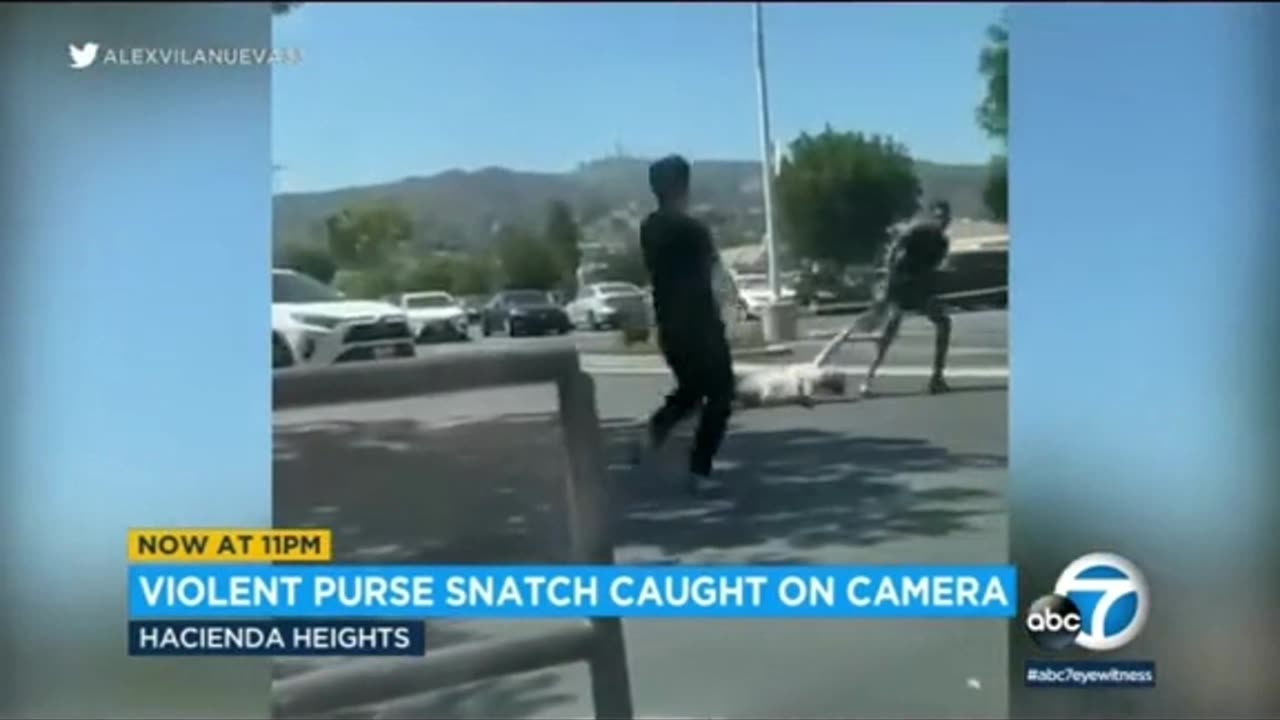 Woman robbed by Thugs in broad daylight in LA