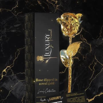 🌹 Luxury 24K Golden Rose | Preserved Real Rose | Perfect Gift | Gift for Her | Gift for Loved One