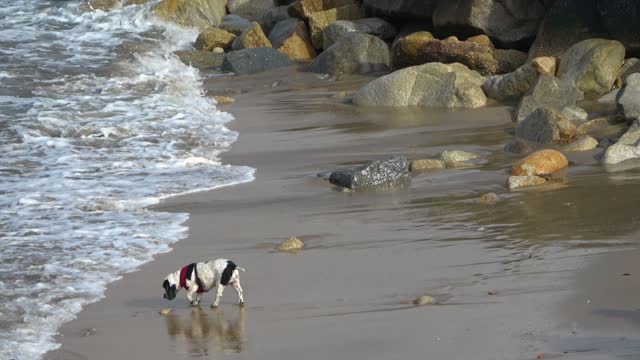 Wave, catch me. Hurry, hurry.