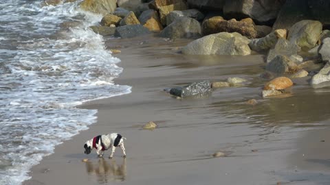 Wave, catch me. Hurry, hurry.