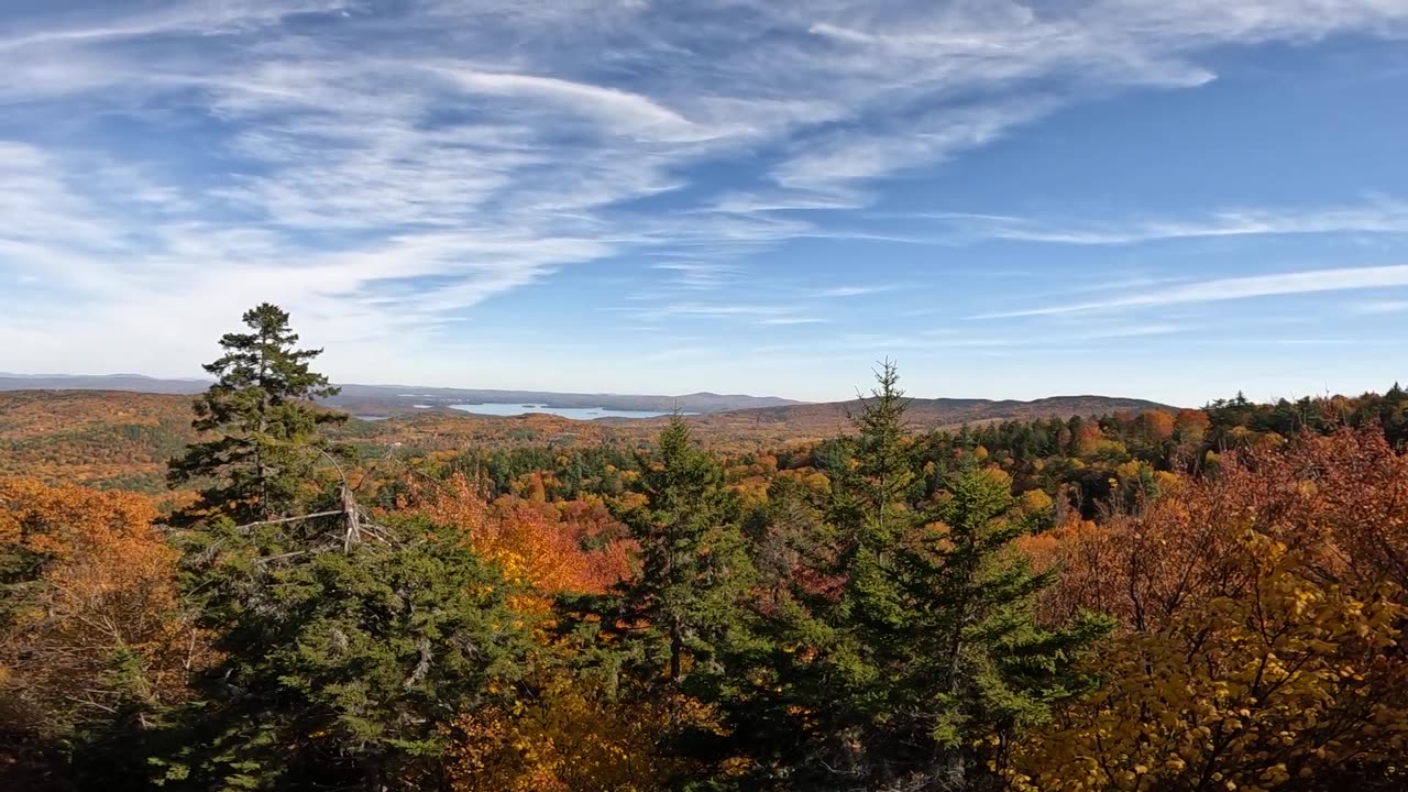 Fall Foliage