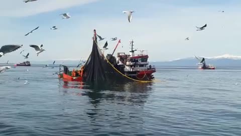 Лов рыбы у берегов Абхазии 07.03.2021