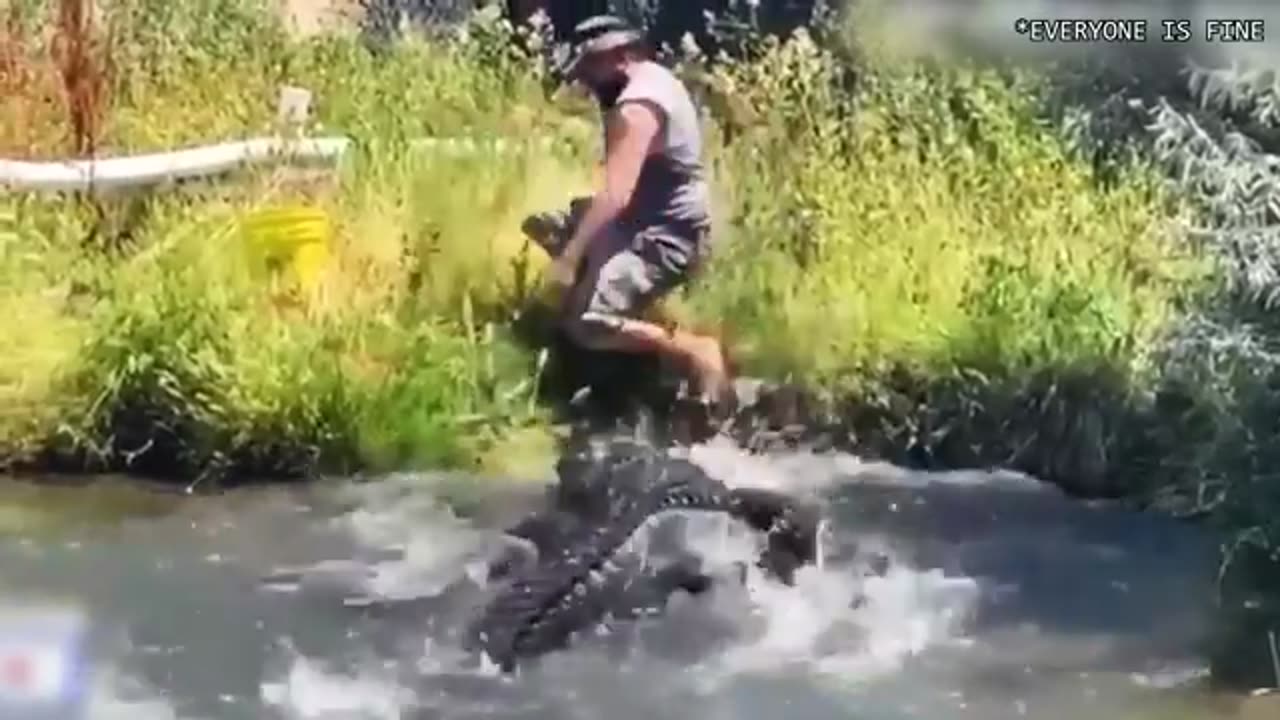 funny animal9