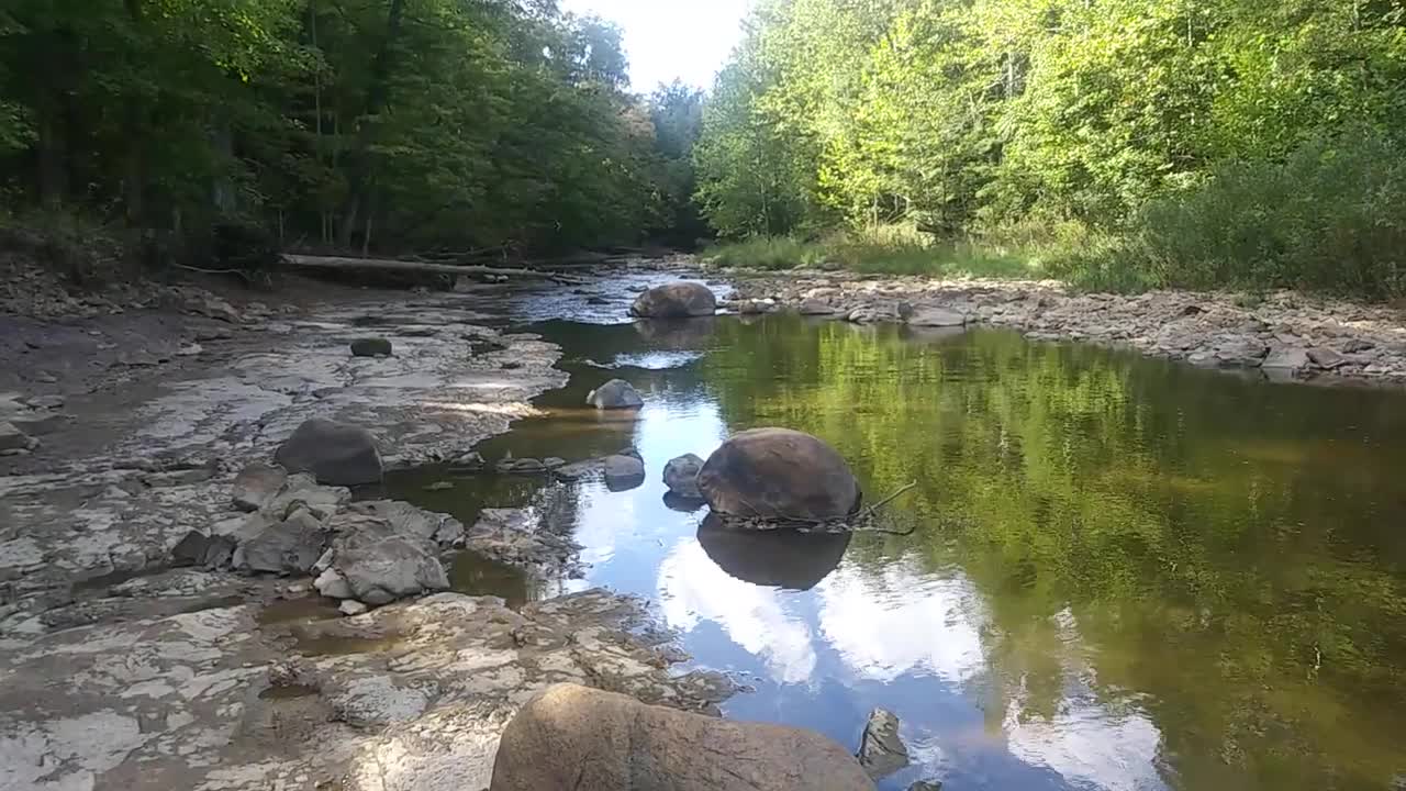 Augusta-Anne Olsen Preserve Wakeman Ohio