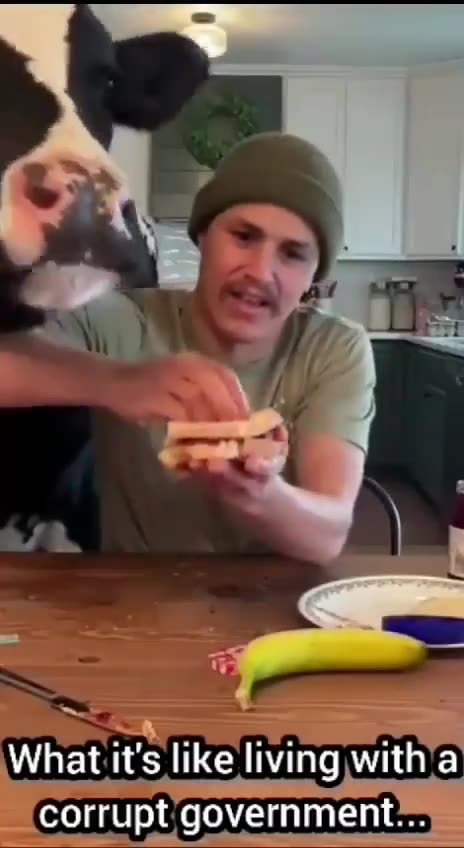 Life with a Cow a View of Communism!?