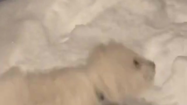 2.I think she’s surprised by how much there is! ❄️