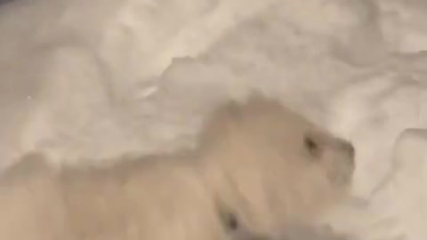 2.I think she’s surprised by how much there is! ❄️