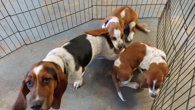 Eleanor with her half-sisters