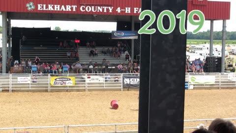 Dog vs Man At The Elkhart County Fair