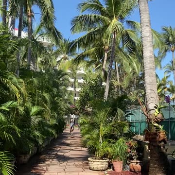 Beautiful walking path