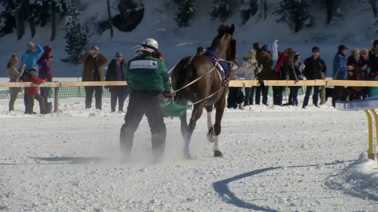 skikjöring and horses in slow motion before White Turf Grand Prix