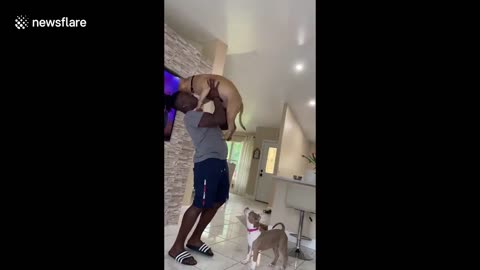 My turn next! Jealous dog sees puppy getting thrown in the air and demands to go next