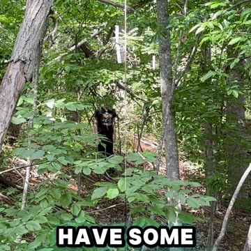 Ever want to get away from the world?