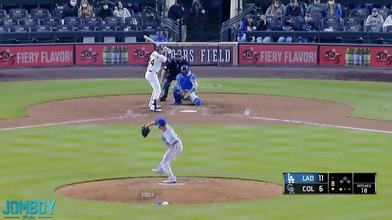 Cat on the baseball field