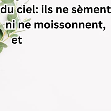 "Les Oiseaux du Ciel: Une Leçon de Foi" Matthieu 6:26.