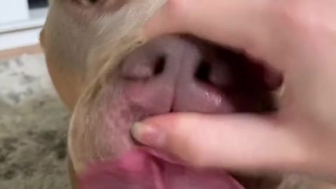 Watch till end