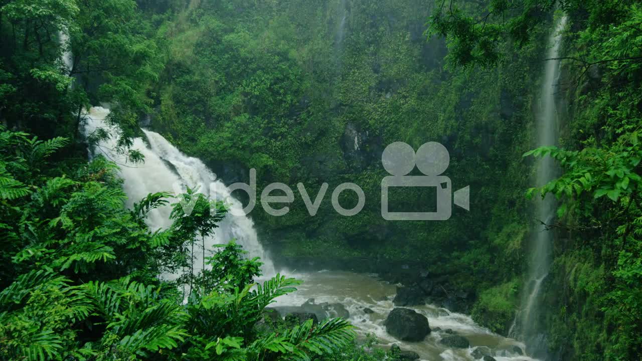 Relaxing video